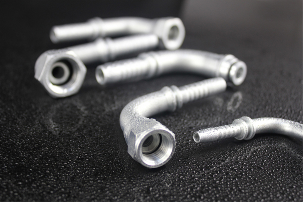 45 graos BSP femininos